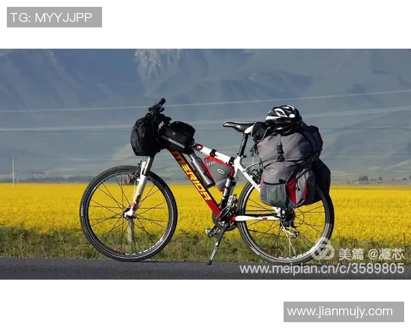 探索城市骑行的未来：环保、健康与交通发展的三重融合