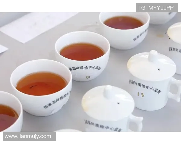 茶堂内外：探索茶文化的传承与创新之道